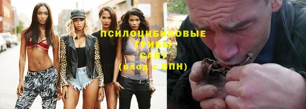 бутират Алексеевка